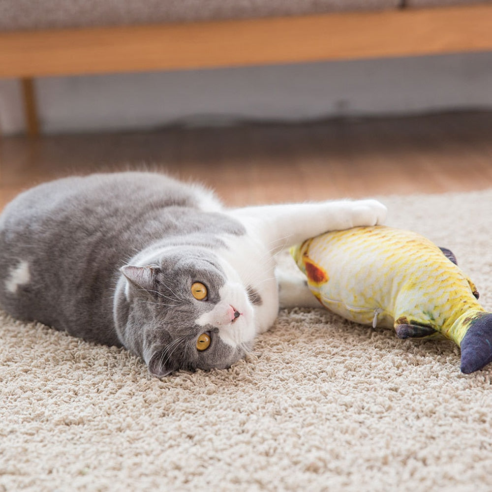 Ultra Realistic Carp Fish Cat Toy